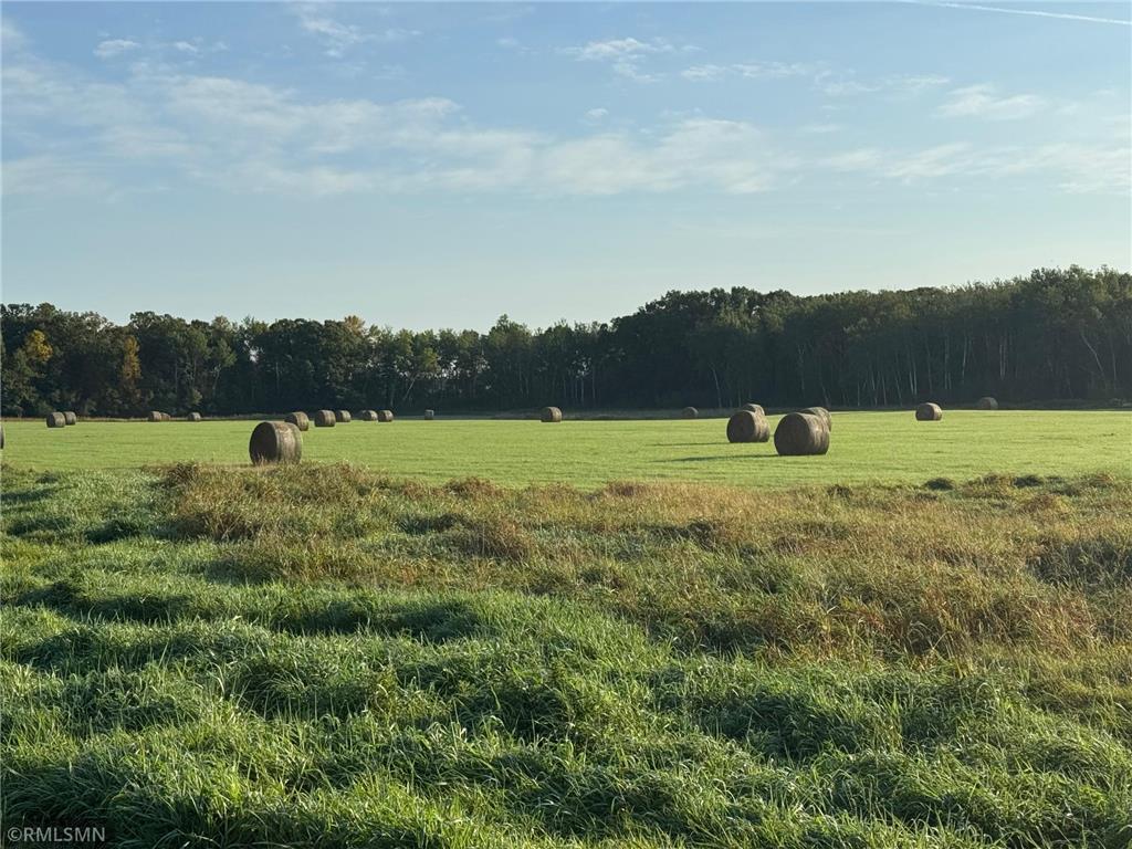 XXX Highway 23 Mora MN 55051 6677469 image4