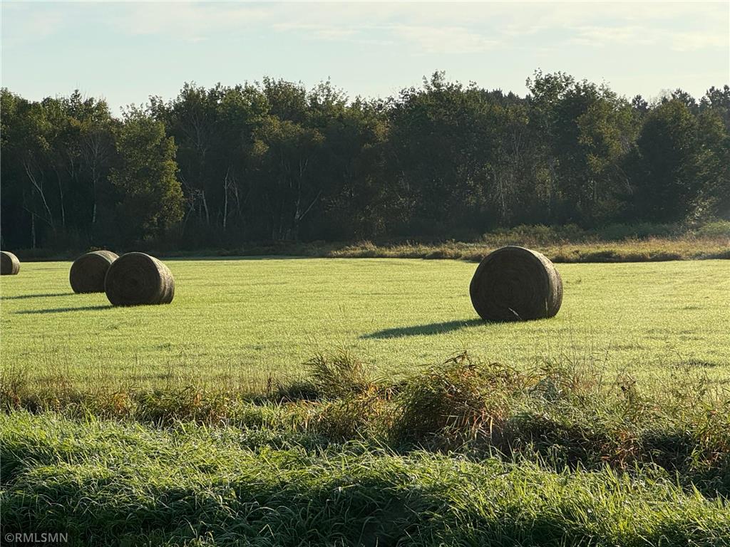 XXX Highway 23 Mora MN 55051 6677469 image5