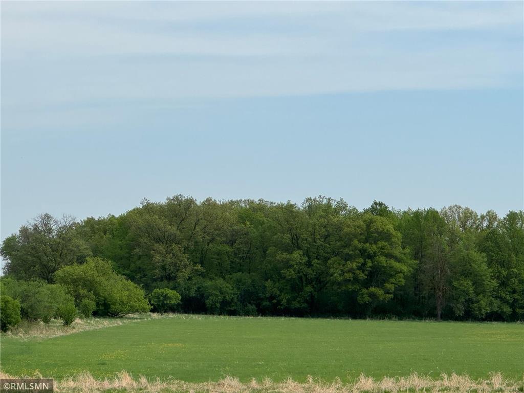 XXX Highway 23 Mora MN 55051 6677469 image8