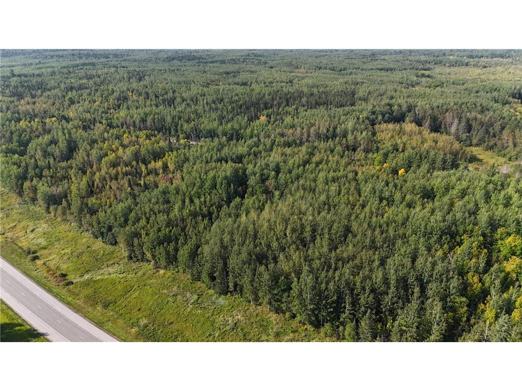 XXX Highway 53 Orr MN 55771 - Ash River 6600920 image1