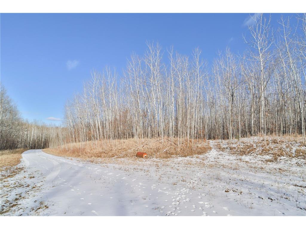 XXX Hilltop Drive NW Walker MN 56484 6488459 image1