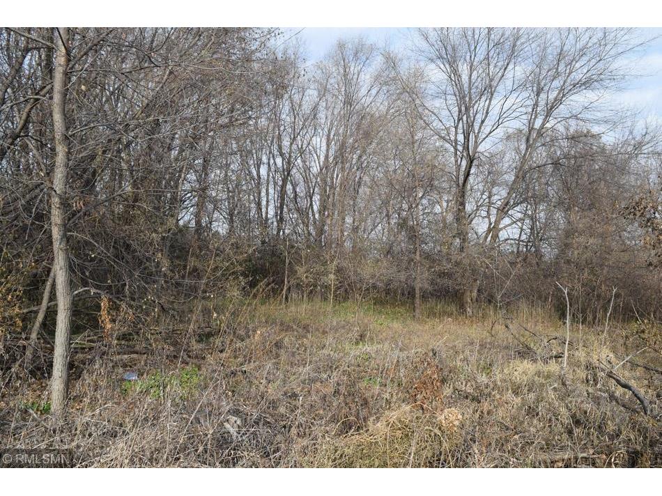 XXX Honeytree Drive, Delano, MN 55328 MLS 5729038 Edina Realty