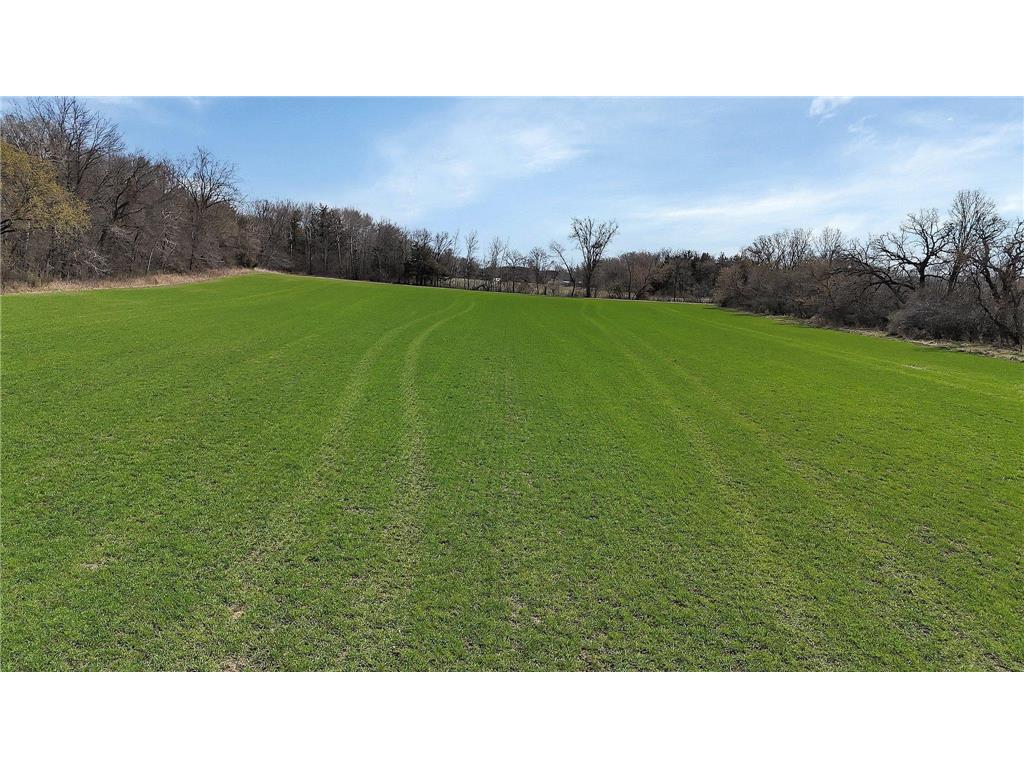 XXX Huber Avenue NW Clearwater MN 55320 6711968 image14