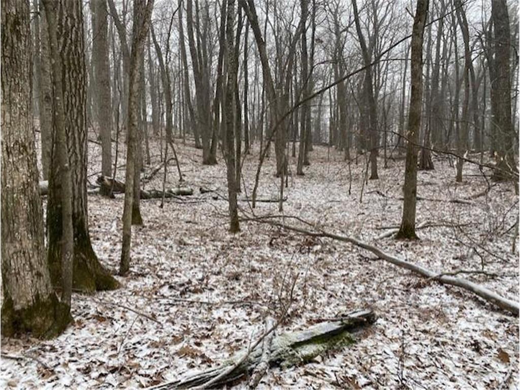 XXX Hungerford Point, Saint Croix Falls, WI, 54024 MLS 6178705