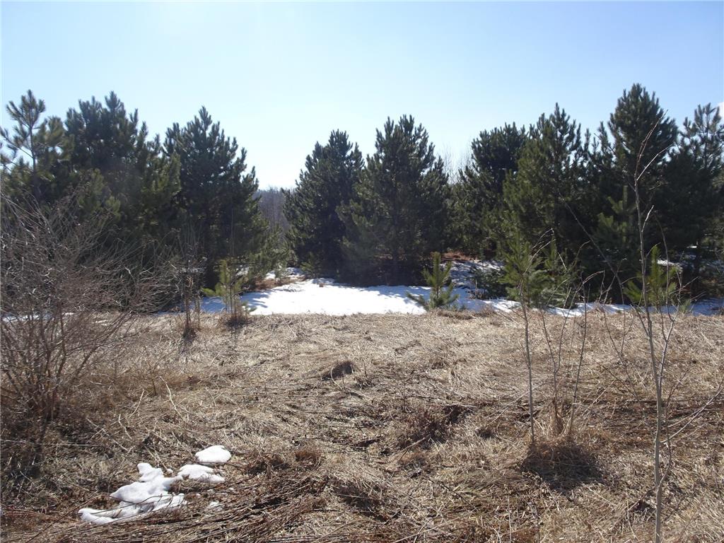 XXX Hwy 35 Frederic WI 54837 7052556 image7