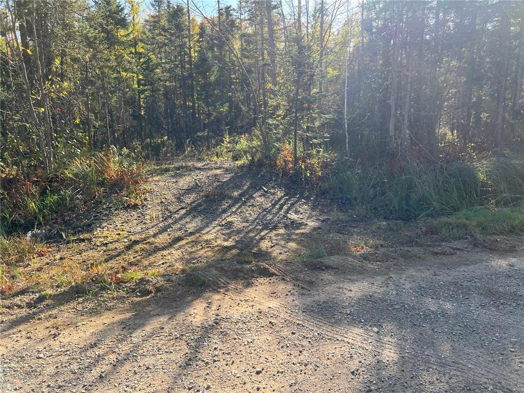 XXX Hwy 59 Idun Twp MN 56350 6620074 image1