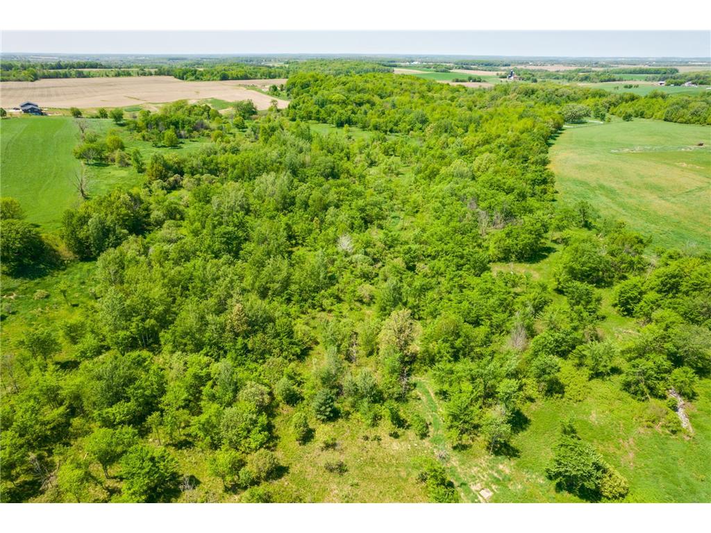 XXX Hwy 64 Forest Twp WI 54013 6768171 image1