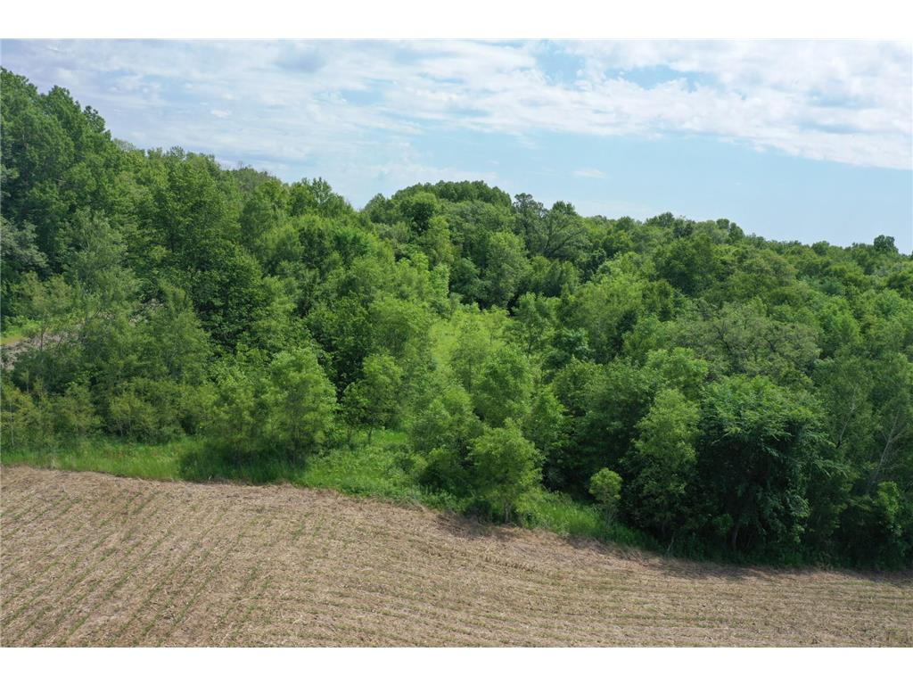 XXX Hwy 87/Bucklund Road Grantsburg WI 54840 7012973 image6