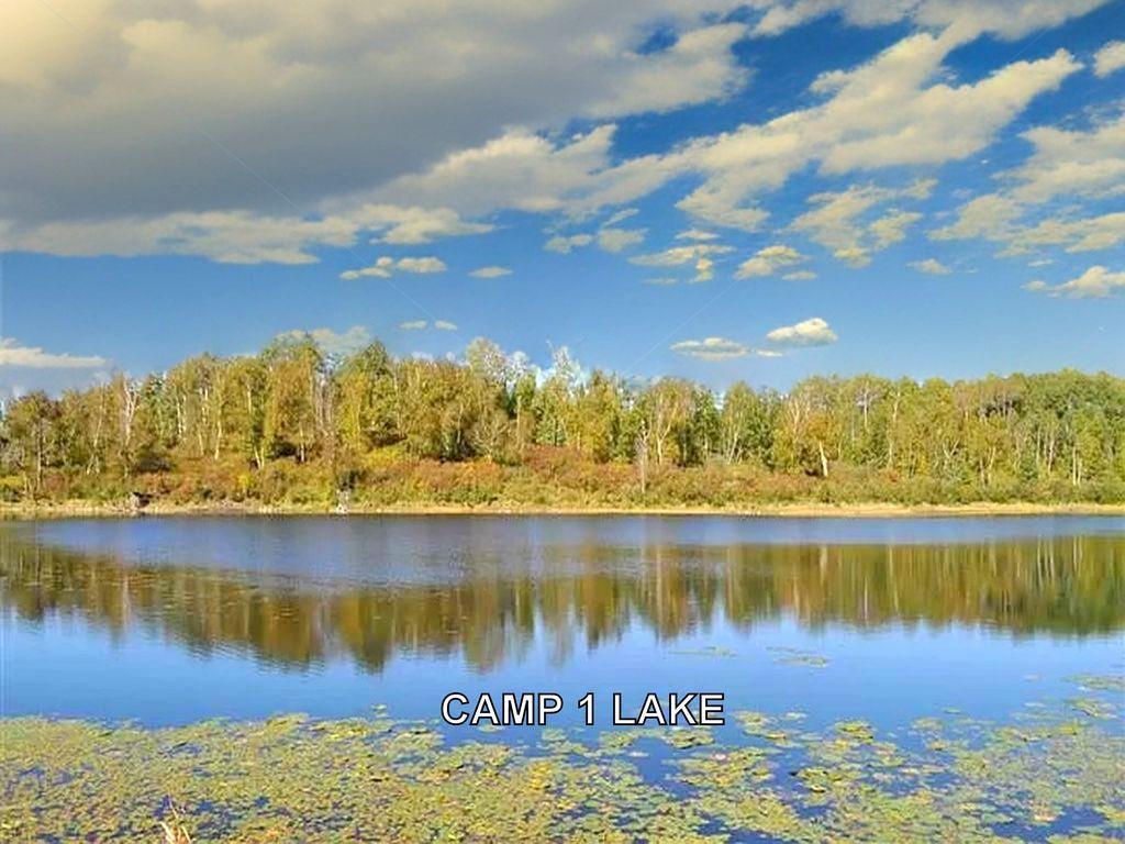 XXX Idaho Drive Akeley MN 56433 6482630 image1