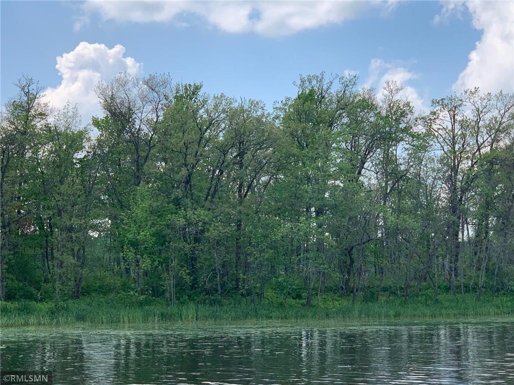 XXX Island Lot, McGregor, MN, 55760 MLS 6395661 Edina Realty