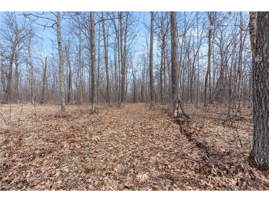 XXX Ivory Street Isle MN 56342 7051669 image25