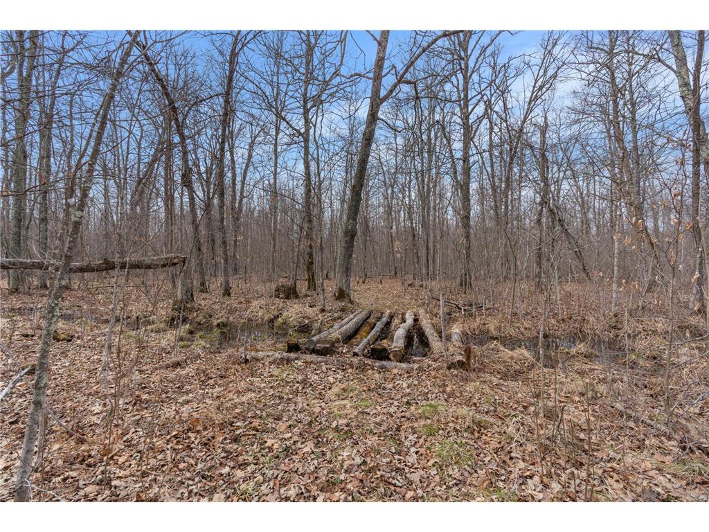 XXX Ivory Street Isle MN 56342 7051669 image26