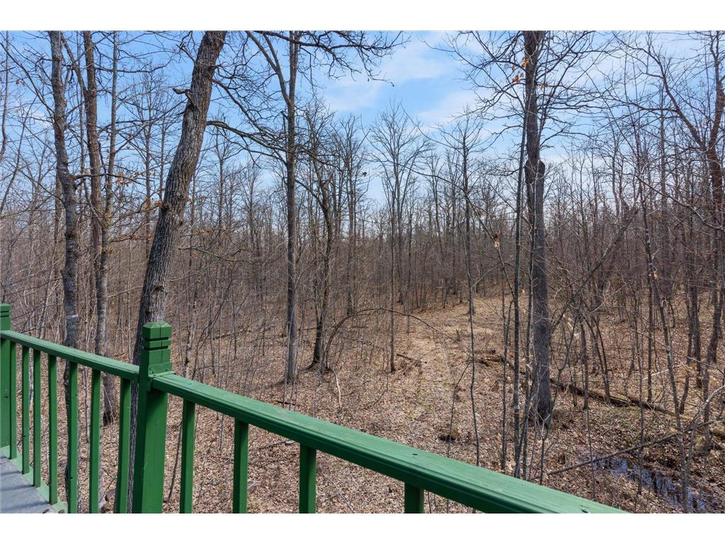 XXX Ivory Street Isle MN 56342 7051669 image32