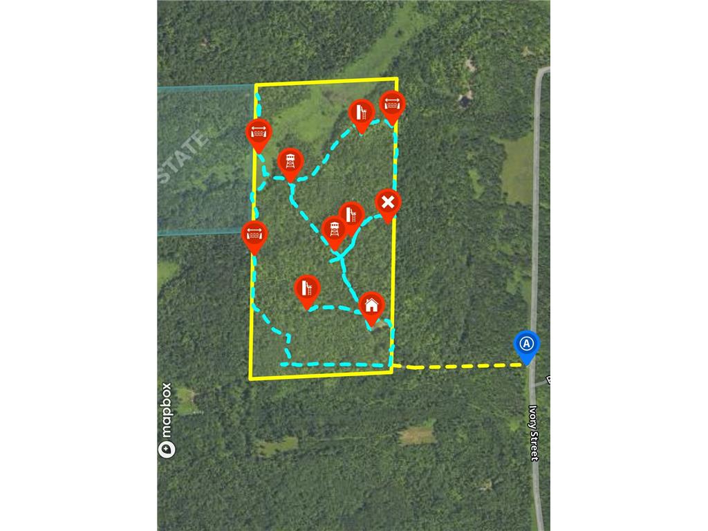 XXX Ivory Street Isle MN 56342 7051669 image33