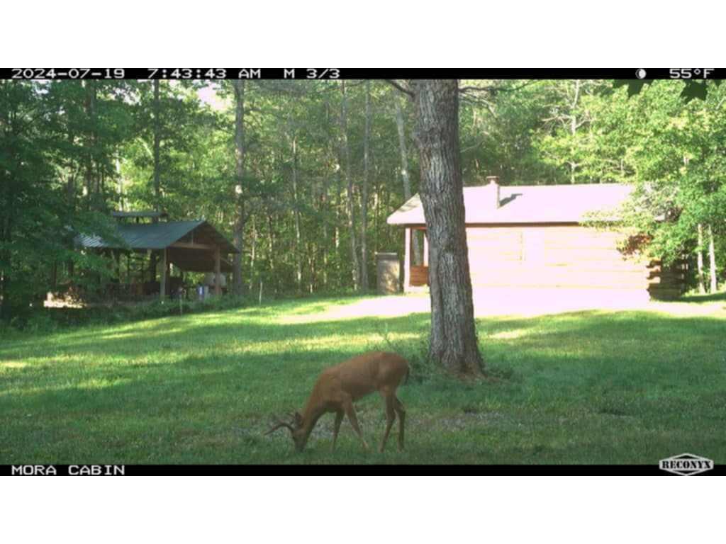 XXX Ivory Street Isle MN 56342 7051669 image36