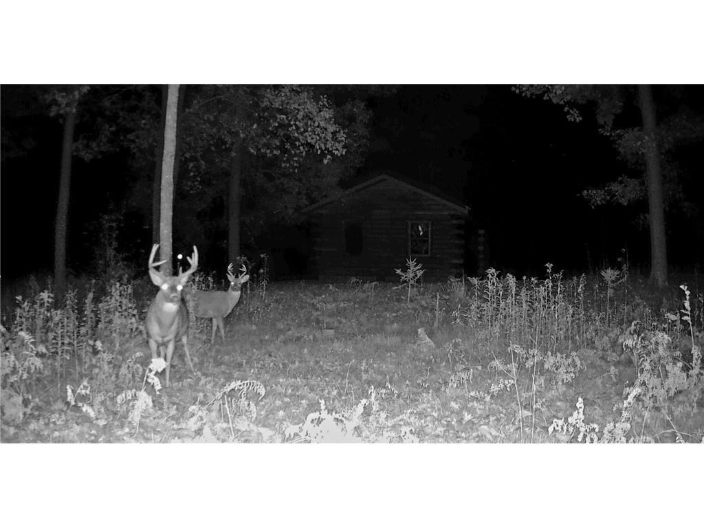 XXX Ivory Street Isle MN 56342 7051669 image42