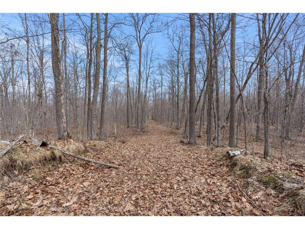 XXX Ivory Street Isle MN 56342 7051669 image45