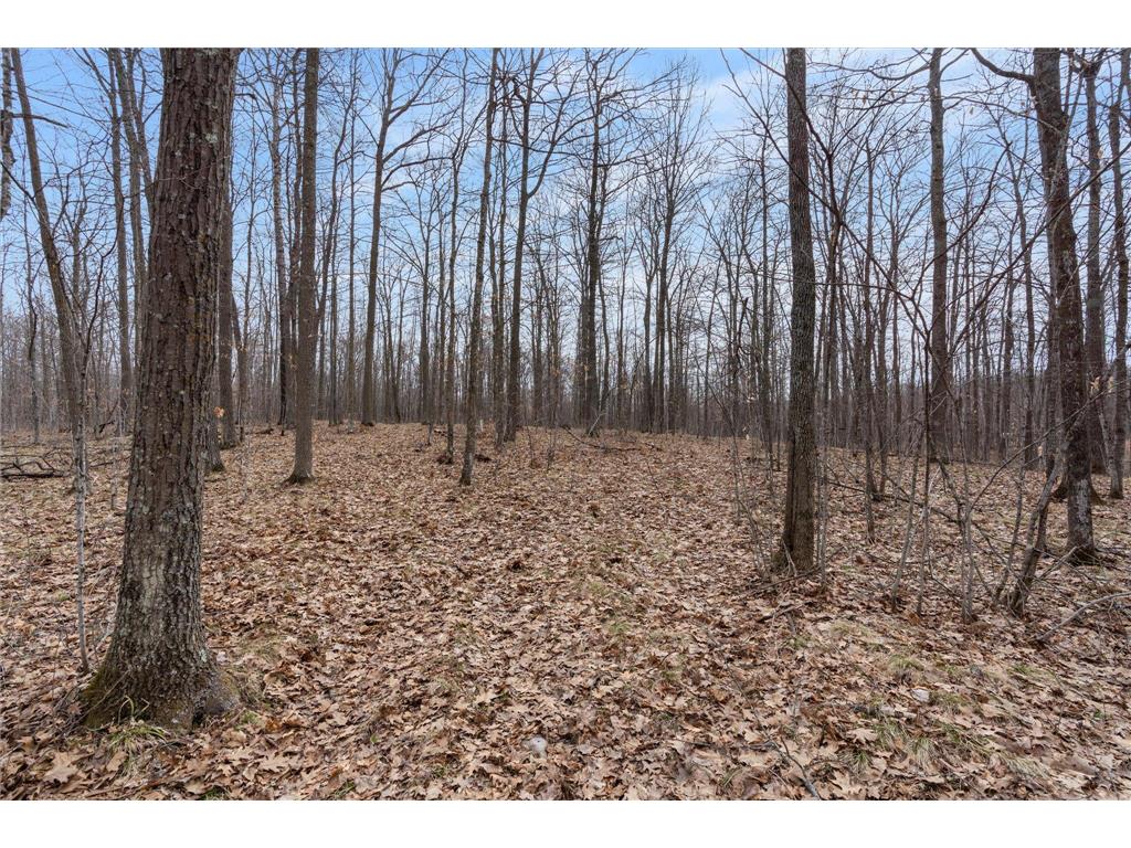 XXX Ivory Street Isle MN 56342 7051669 image48