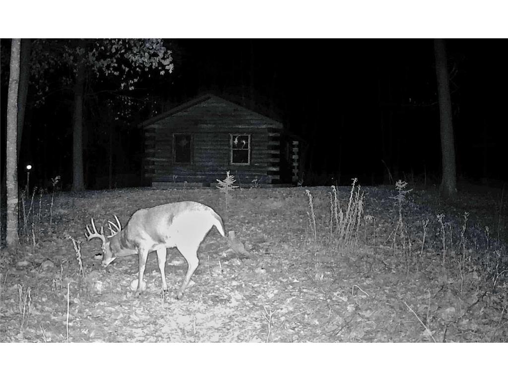 XXX Ivory Street Isle MN 56342 7051669 image8
