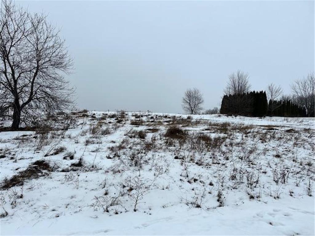 XXX Katrina Drive Caledonia Twp MN 55921 6481561 image1