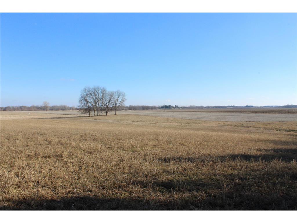 XXX Kilbury Ave SW Howard Lake MN 55349 6687185 image1