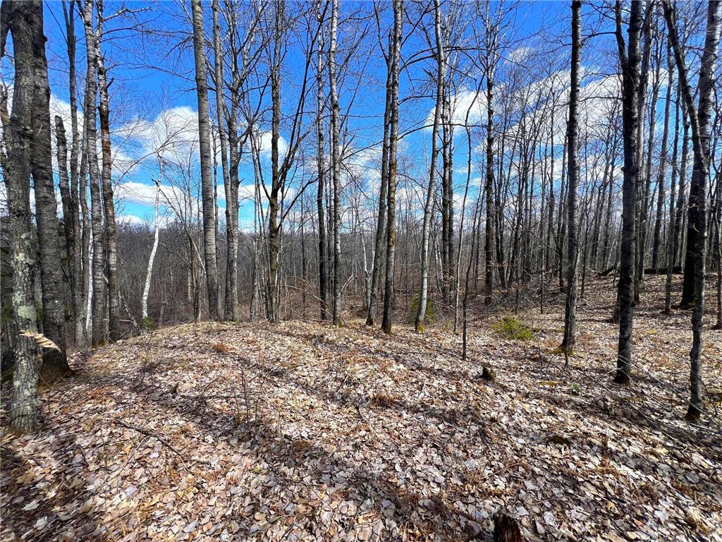 XXX Kingsdale Road Sandstone MN 55072 6517848 image1