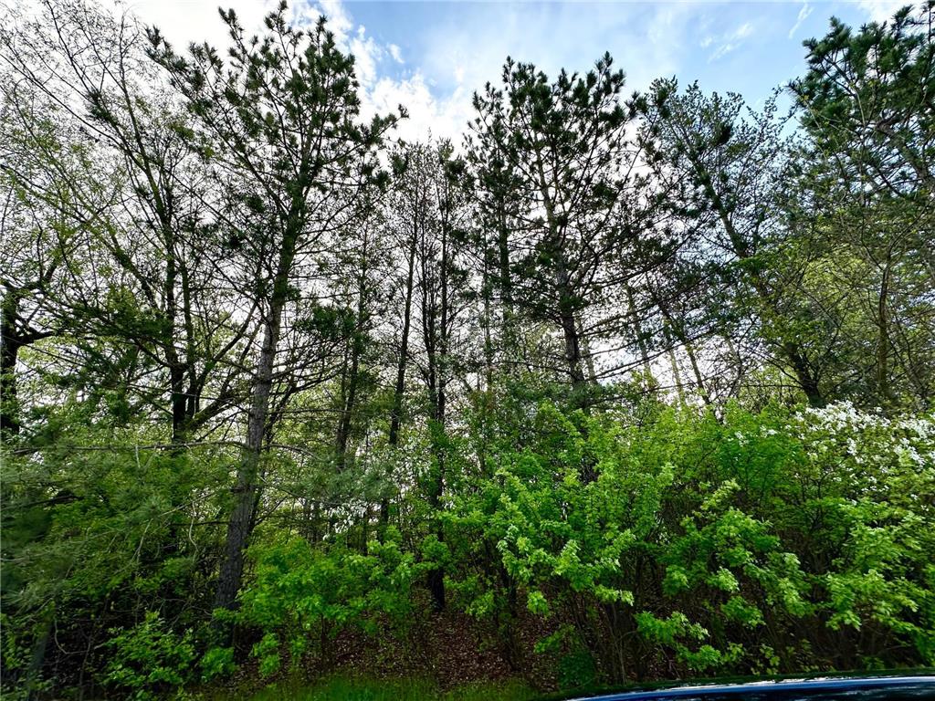 XXX Kolp Road Grand Rapids MN 55744 6543101 image1