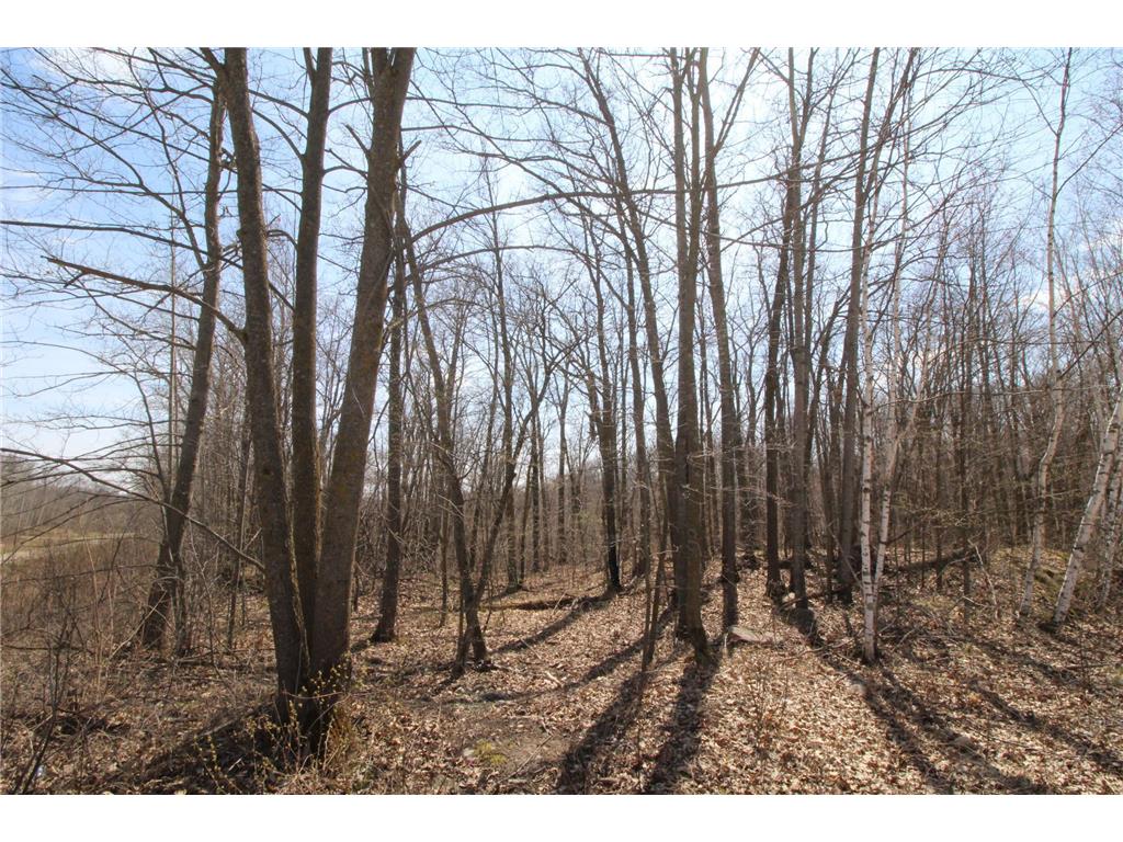 XXX Lake Camille Dr. Randall MN 56475 6712903 image1