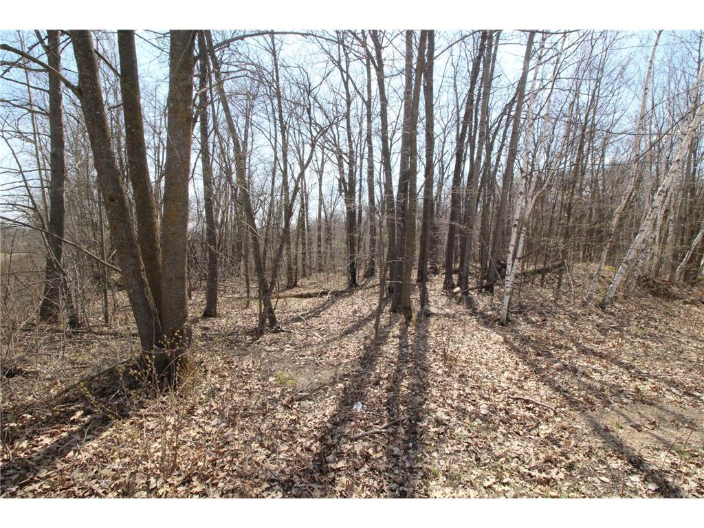 XXX Lake Camille Dr. Randall MN 56475 6712903 image11