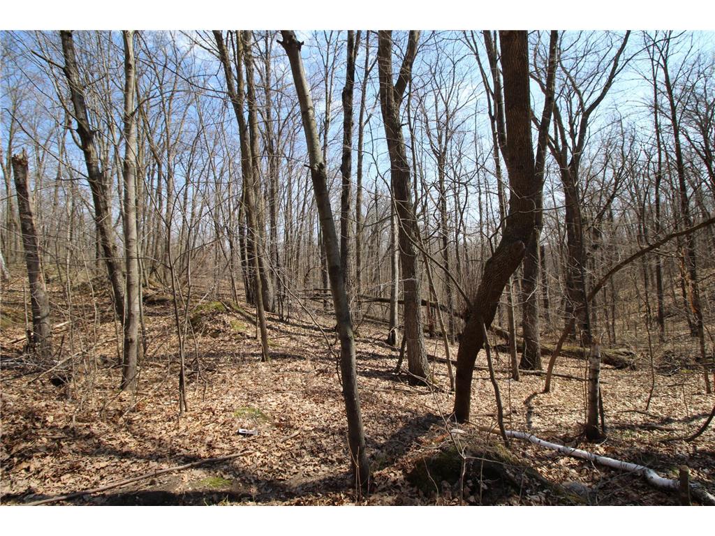 XXX Lake Camille Dr. Randall MN 56475 6712903 image12