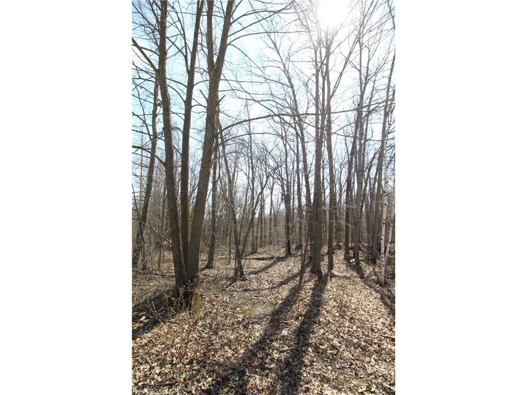 XXX Lake Camille Dr. Randall MN 56475 6712903 image13