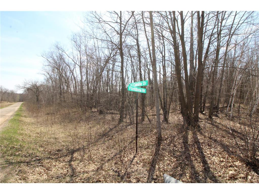 XXX Lake Camille Dr. Randall MN 56475 6712903 image14