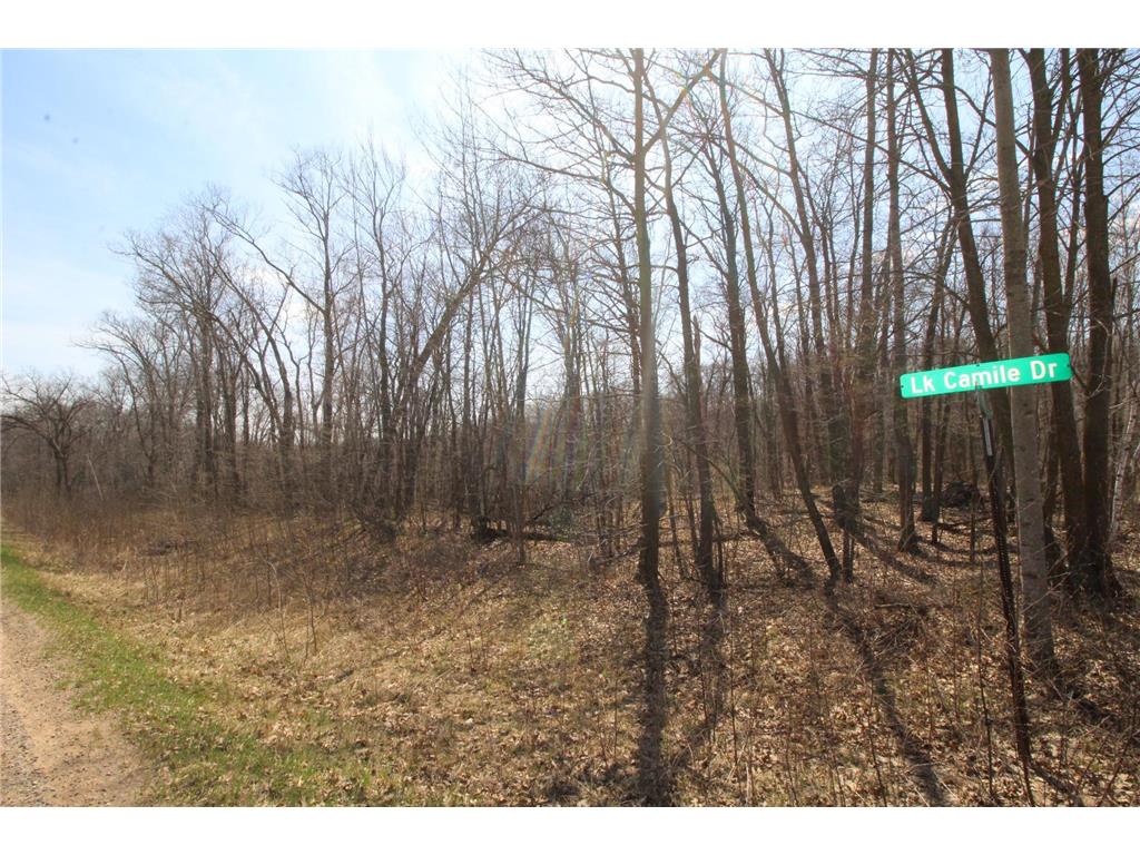 XXX Lake Camille Dr. Randall MN 56475 6712903 image15