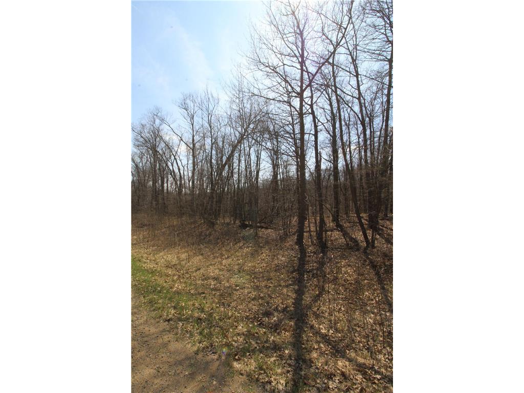 XXX Lake Camille Dr. Randall MN 56475 6712903 image16