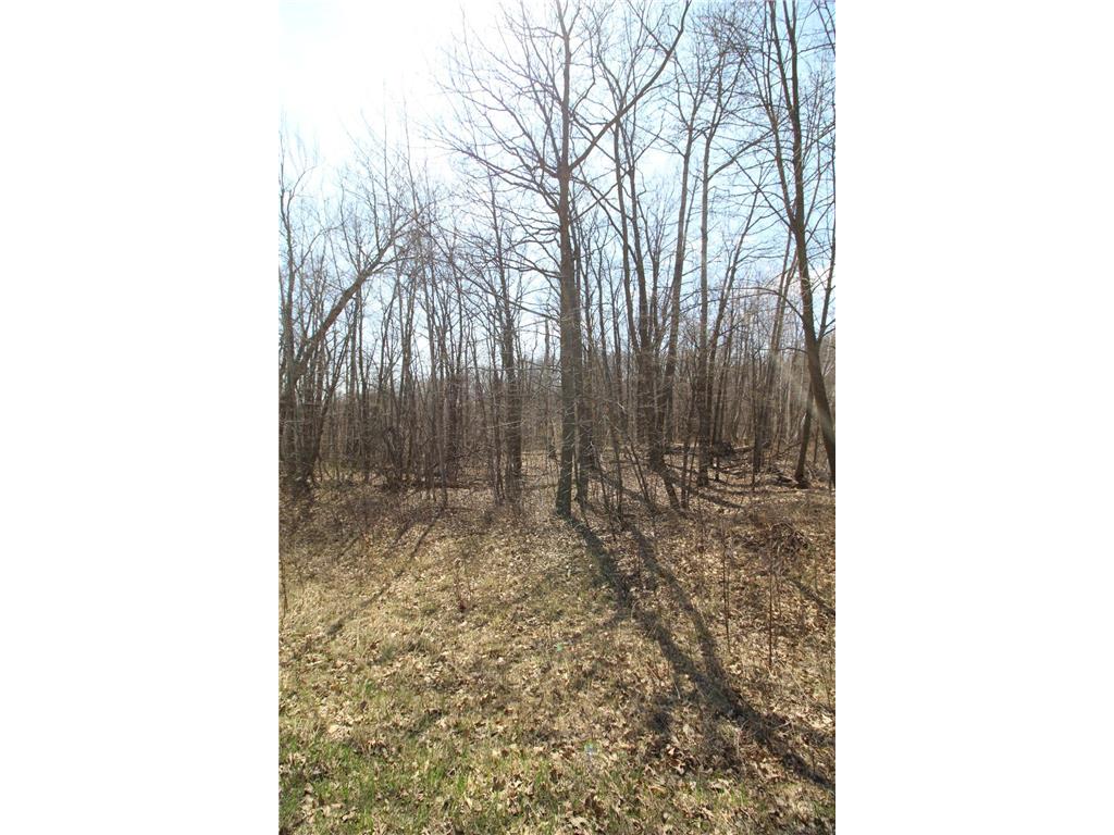 XXX Lake Camille Dr. Randall MN 56475 6712903 image17