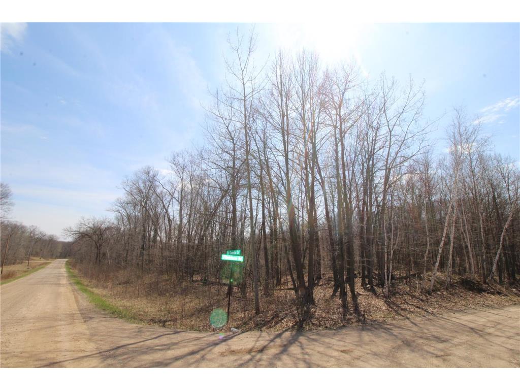 XXX Lake Camille Dr. Randall MN 56475 6712903 image18