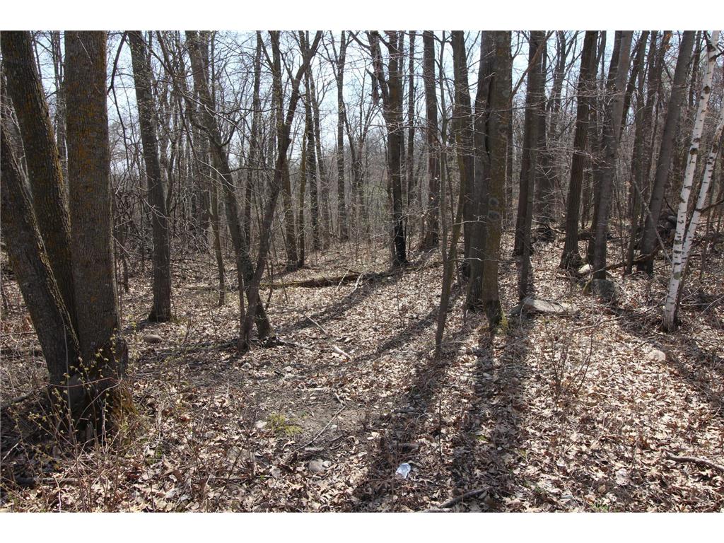 XXX Lake Camille Dr. Randall MN 56475 6712903 image2