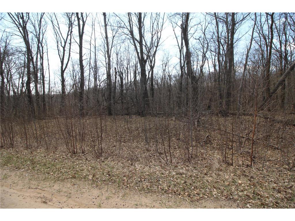 XXX Lake Camille Dr. Randall MN 56475 6712903 image6