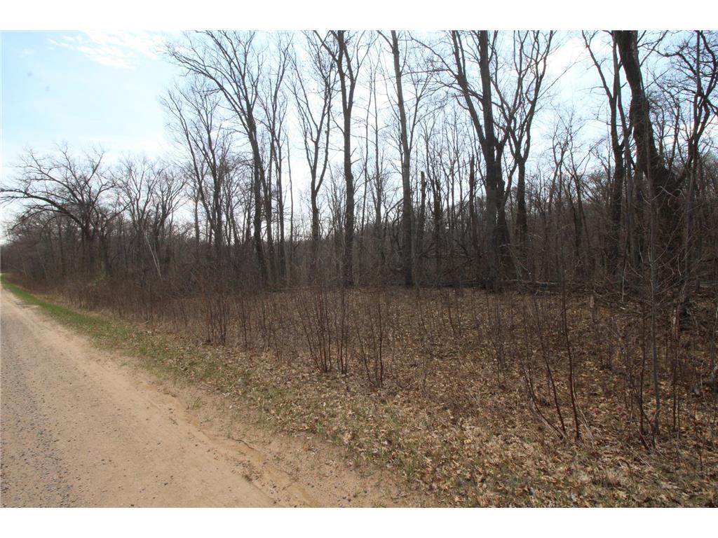 XXX Lake Camille Dr. Randall MN 56475 6712903 image7