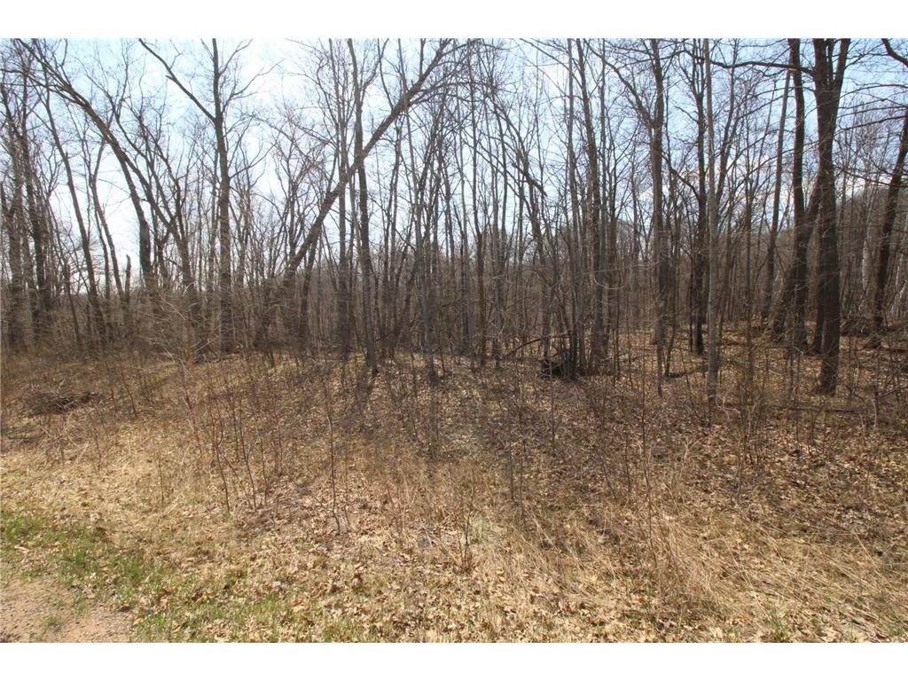 XXX Lake Camille Dr. Randall MN 56475 6712903 image8