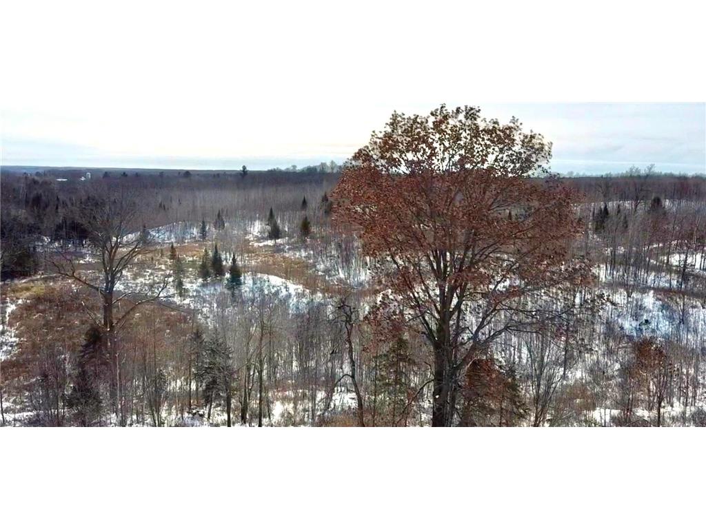 XXX Lake Dr Roosevelt Twp WI 54447 - Mud Lake 6658426 image1