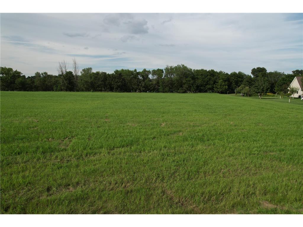 XXX Lake Shore Drive Manyaska Twp MN 56171 - Fox 6762698 image11