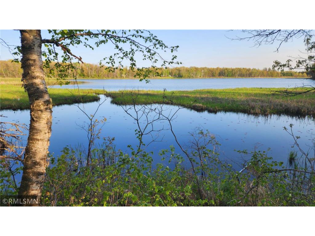 XXX Laketown Road, Sturgeon Lake, MN, 55783 MLS 6372977 Edina Realty