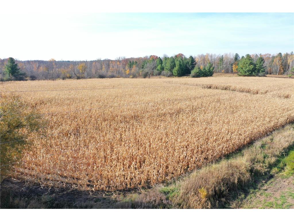 XXX Lara Road Grantsburg WI 54840 6643548 image1