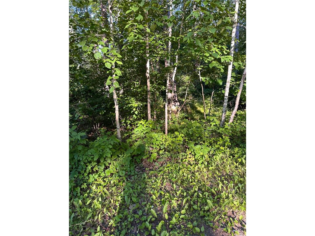 XXX Lark Place Mcgregor MN 55760 6560042 image1