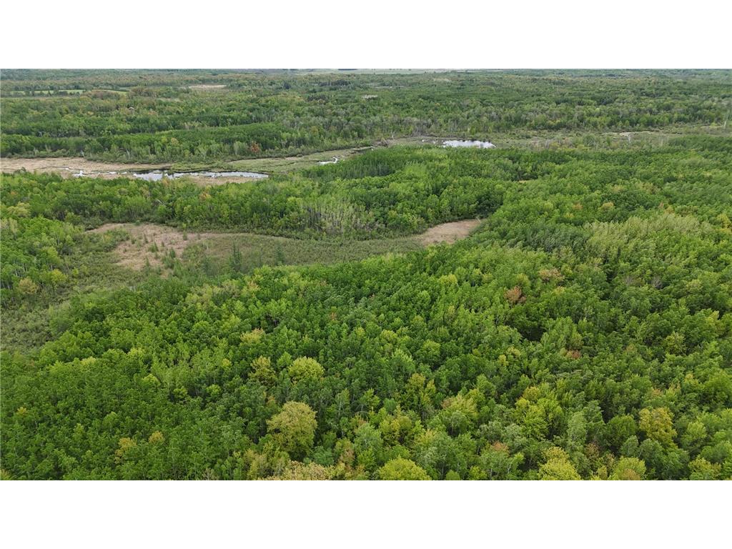 XXX Little Sand Creek Road Sandstone MN 55072 - Hay Creek 6715090 image1