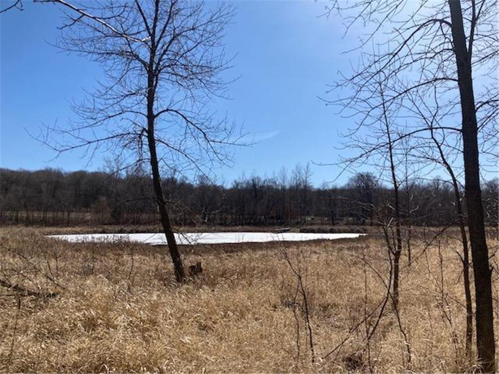 XXX Loon Point Drive SW Kensington MN 56343 - Oscar 6505785 image10