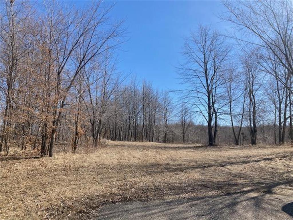 XXX Loon Point Drive SW Kensington MN 56343 - Oscar 6505785 image9