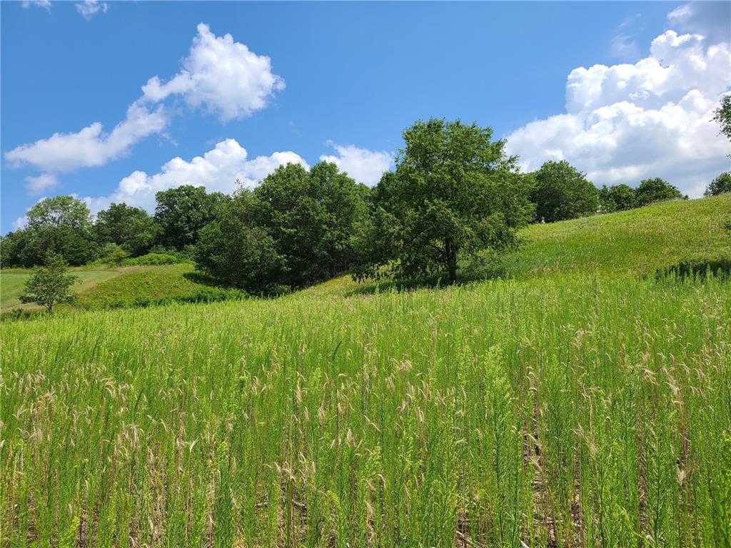 XXX Lot 1 County Rd F Boyceville WI 54725 6251950 image1