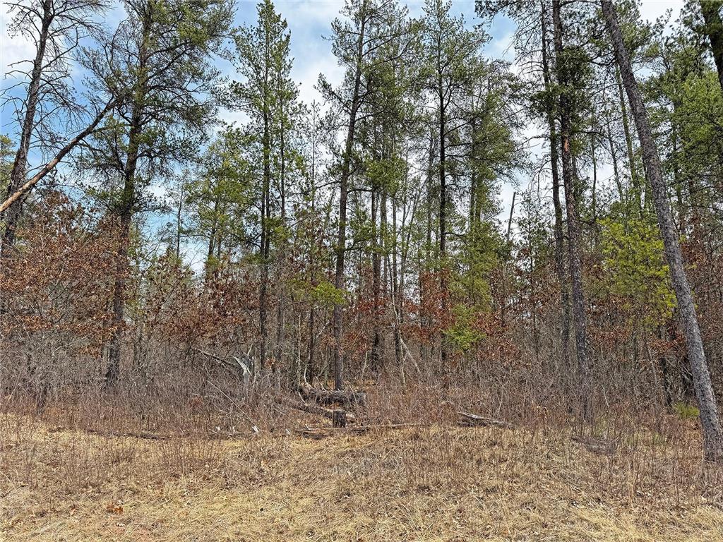 XXX Lot 20 Middle Road Minong WI 54859 6702896 image1